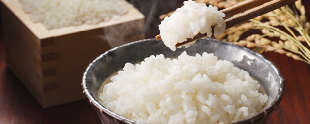 蒸米飯最簡單方法 怎麼蒸米飯