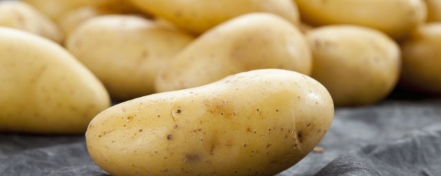 土豆的種植方法和時間 土豆怎麼種植