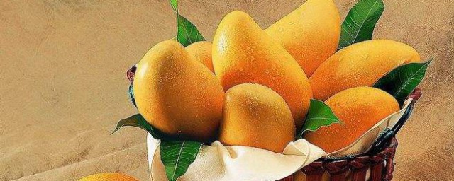芒果要怎麼保存才不爛 芒果要怎麼保存才不爛的方法
