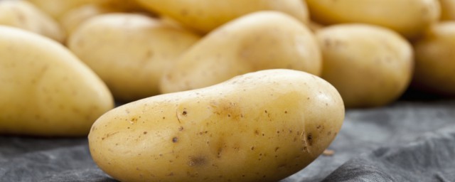 怎麼保存土豆才不會發芽 如何保存土豆才能不生芽