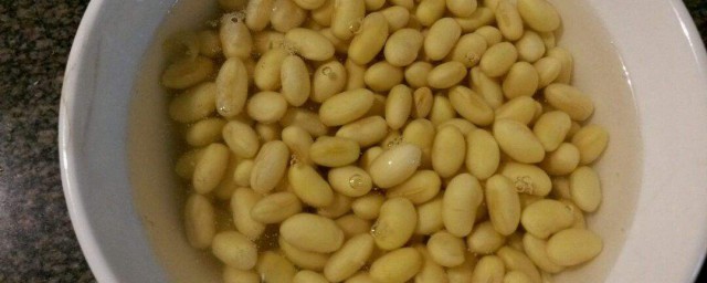 怎麼泡黃豆芽的簡單做法 泡黃豆芽的做法