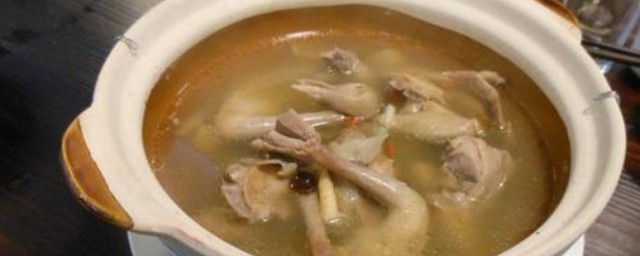清燉鴿子湯簡單好吃 清燉鴿子湯的做法