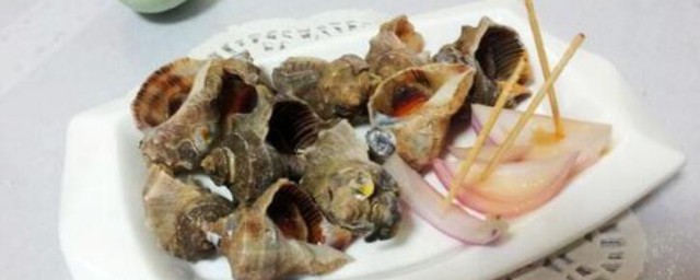 海螺怎麼做好吃又簡單 海螺的做法