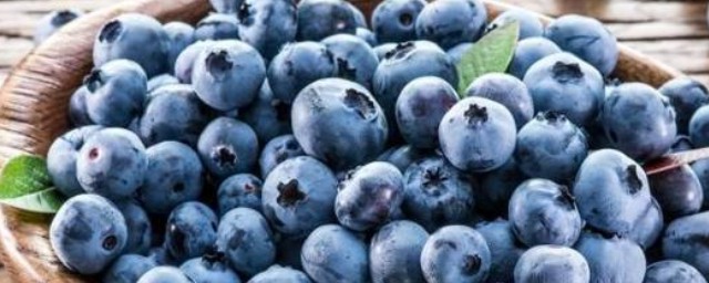 挑藍莓的技巧 怎麼挑選藍莓