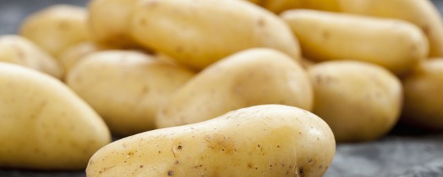 土豆的育苗方法 土豆怎麼育苗