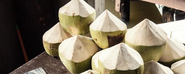 鮮椰子肉怎麼保存 椰子肉能冷凍保存嗎