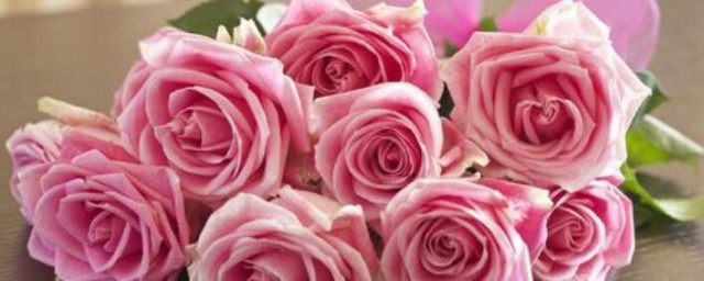 粉色玫瑰代表什麼意思 粉色玫瑰的含義