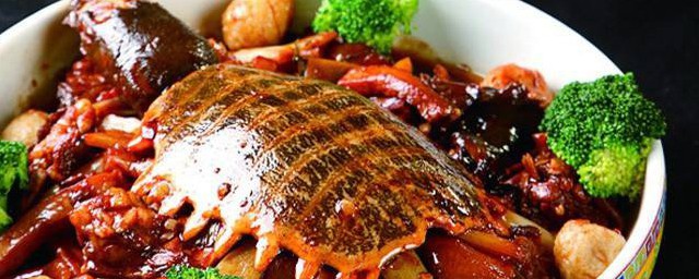 紅燒甲魚怎麼做 做甲魚的方法