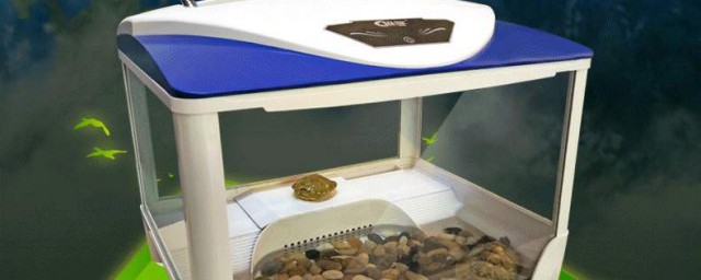 周轉箱如何做龜缸 怎麼用周轉箱做龜缸
