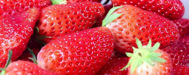 草莓什麼時候上市 什麼草莓口感好