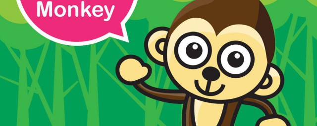 猴子英語怎麼讀 猴子的英語單詞是什麼