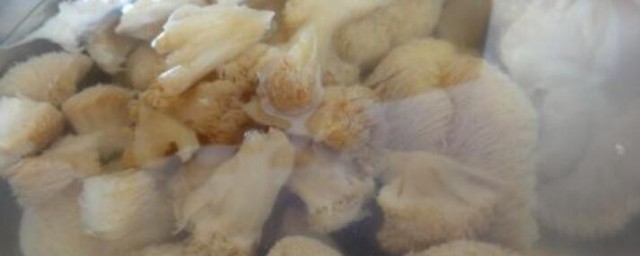 猴頭菇怎麼做 猴頭菇的做法