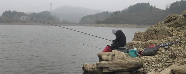 傳統釣魚的最佳方法 最好釣鯽魚的傳統方法