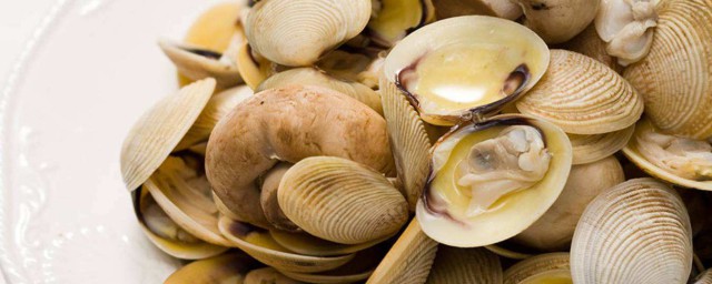 貝殼類海鮮怎麼保存 海鮮怎麼保鮮保質呢