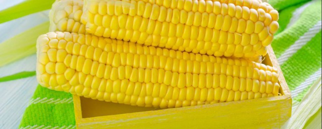 玉米可以冷凍保存嗎 可以冷凍保存