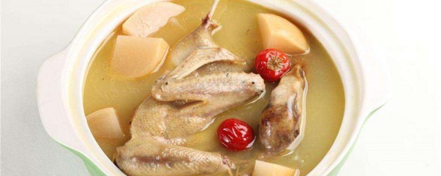 老鴨煲湯怎麼做好吃 老鴨煲湯的做法