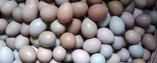 大量雞蛋怎樣長期保存 大量雞蛋如何保存