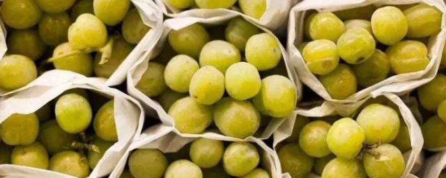 葡萄保存需要放冰箱嗎 葡萄如何保存