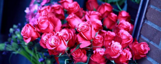 10種象征愛情的花 哪些花象征愛情
