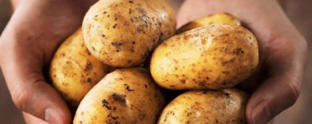 土豆怎麼保存不發芽 這樣保存新鮮的土豆
