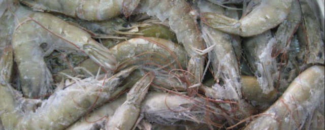 新鮮的蝦怎麼冷凍保存 保存蝦的方法