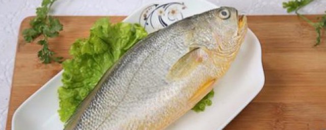 新鮮的魚怎麼保存 多種方法保鮮魚肉