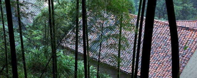 雨裡雞鳴一兩傢竹溪村路板橋斜的意思 雨過山村原文及譯文