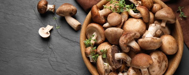 蘑菇怎麼做好吃法大全 這三種做法都挺好吃