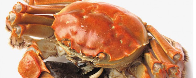 螃蟹不可以和什麼一起吃 吃螃蟹的禁忌