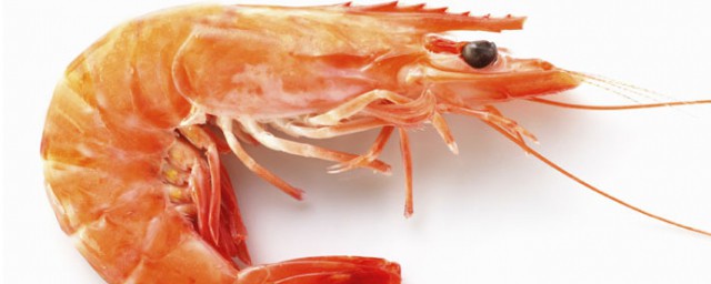 蝦和什麼菜一起吃最好 蝦和什麼菜一起吃有營養