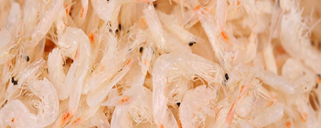 海米怎麼做好吃 海米做好吃的方法