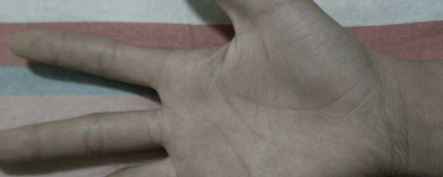 手掌紋怎麼看 看手心紋路的方法