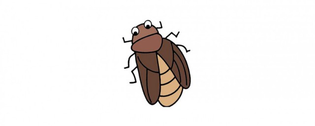 蟑螂爬過的地板怎麼處理 蟑螂爬過的地方怎麼消毒