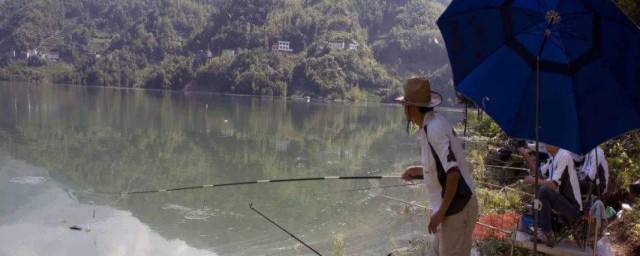 河道釣魚的方法 河道釣魚的方法介紹
