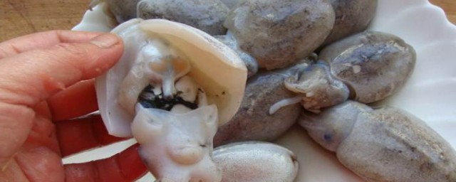 小章魚烹飪方法 小章魚烹飪方法簡述