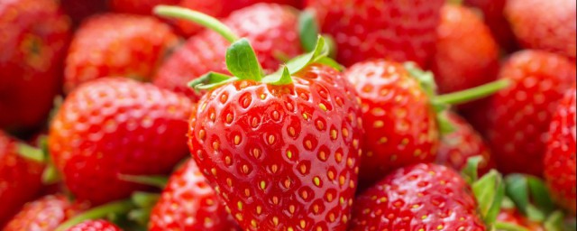 草莓保存方法和技巧 四種正確保存方法分享