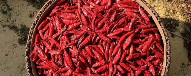 曬幹的辣椒怎麼保存 保存辣椒的方法都有什麼