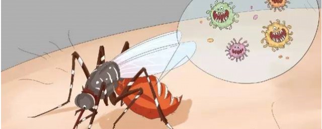 被蚊子咬瞭起瞭水泡該怎麼辦 蚊子咬瞭起水泡該怎麼處理