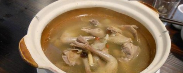 鴿子煮湯做法 鴿子煮湯怎麼做好喝