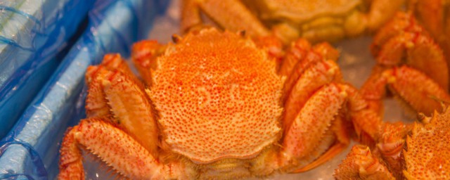 冷凍螃蟹處理步驟 解凍方法多種多樣