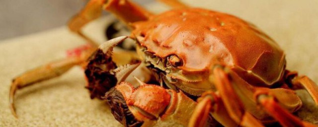 如何看螃蟹新鮮 如何判斷蟹類的新鮮程度