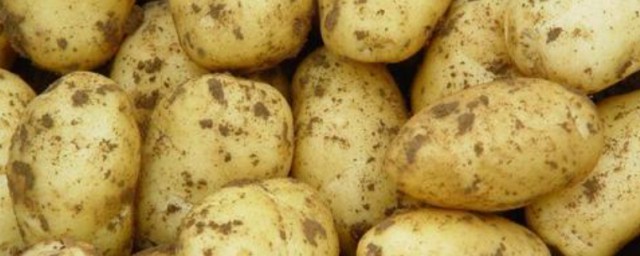 土豆如何做適合兒童吃 土豆有哪些做法