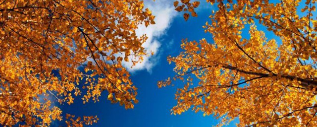 關於秋天的諺語 關於秋天的諺語有哪些