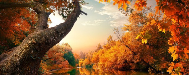 秋天的文藝句子 描寫秋天帶有詩意的句子