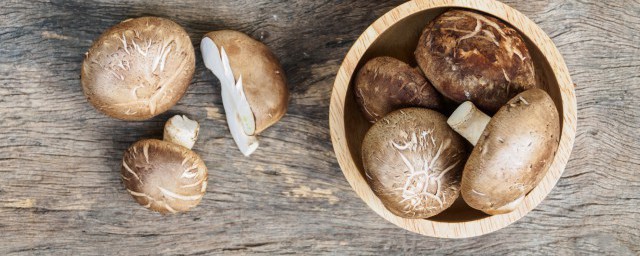 存儲蘑菇的方法 蘑菇應該如何保存呢?
