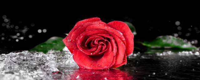 玫瑰花瓣如何做胭脂 玫瑰花瓣胭脂的做法
