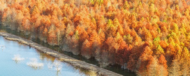 描寫秋天的景色的句子 美麗秋景盡在眼前