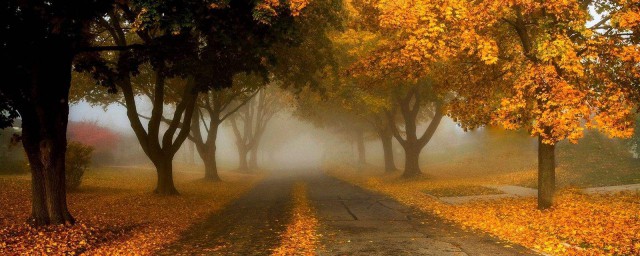 關於秋天的詩有哪些 7首關於秋天的詩