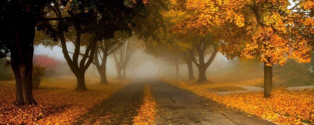 關於秋的詩 關於秋的詩有哪些