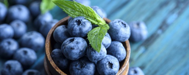 藍莓插枝方法 藍莓扦插生根最快方法分享